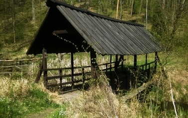 Drewniany most na Perłowym szlaku (Nordic Walking, czerwony)