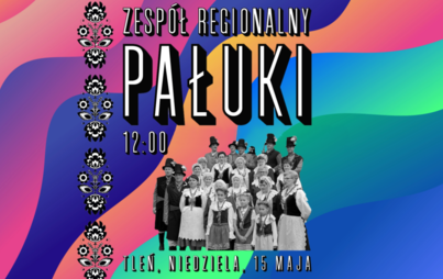 Zdjęcie do Występ zespołu PAŁUKI